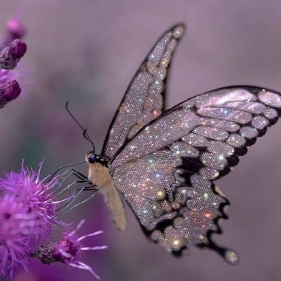 Join MM Tag Team - Picture 10 of 10